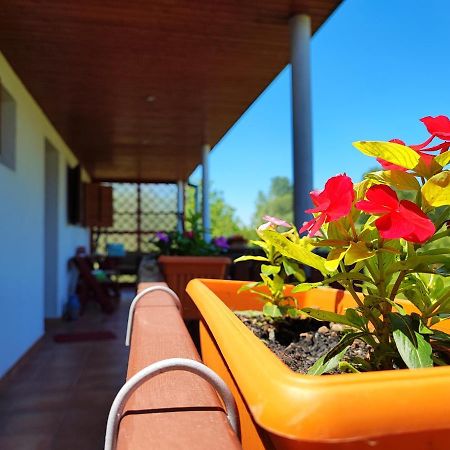 Apartman Dunav Aljmaš Extérieur photo